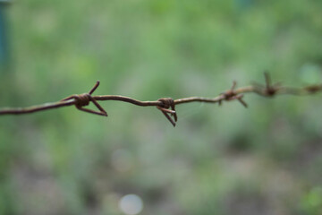 Iron rusty old barbed wire
