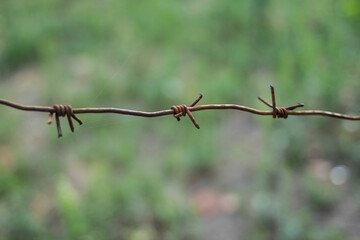Iron rusty old barbed wire