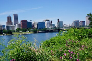 Portland River