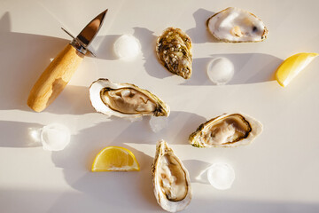 Delicious fresh oysters and ice cubes on white marble table