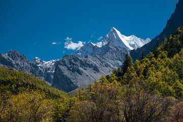 High mountain in Yading with autumn leaves