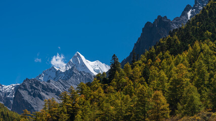 High mountain in Yading with autumn leaves