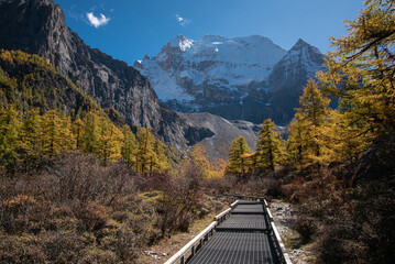 High mountain in Yading with autumn leaves