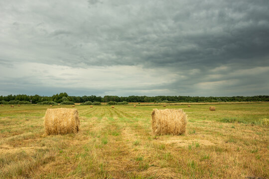 Hay bales on the hayfield and dark clouds on the sky