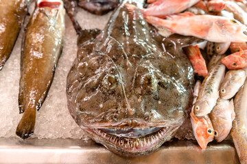 Fresh fish at the fish market in Ciutadella on the island of Menorca. Spain