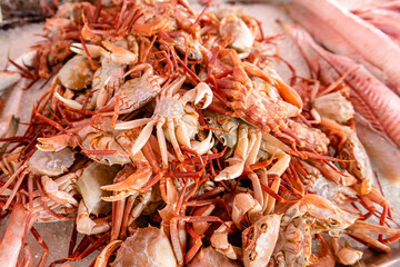 Fresh seafood at the fish market in Ciutadella, on the island of Menorca. Spain