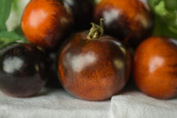 Fresh ripe organic garden tomatoes Paradise apples on table