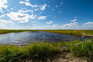 a small pond on a Sunny summer day