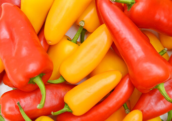 fresh harvested sweet peppers different varieties