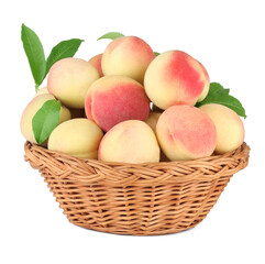 Аpricots in the basket isolated on white background