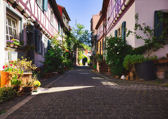 Alley with green