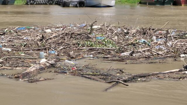 Large mass of river drift, garbage pile, deposit branches wood, pile of wood, plastic bottles, waste and debris floating on the river Tisza making the river water dirty, unhealthy and dangerous