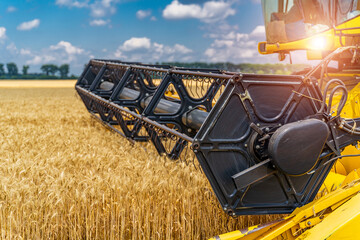Heavy technics in wheat field. Yellow combine harvesting dry wheat. Farmer observing process....