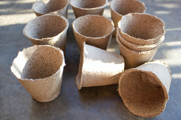 Peat cups for seedlings. Plants