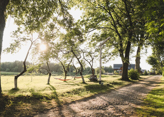 Empty hammock hanging between trees in garden, relaxation concept. Hammock hanging in the garden yard for relaxing in the summer.
