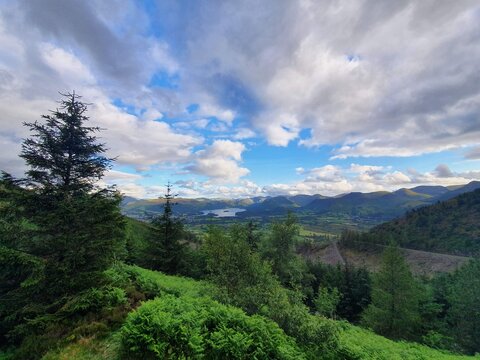 View from Dodd Wood, Lake District National Park.