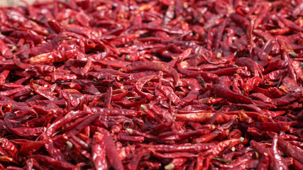 Fototapeta premium closeup dried red chili peppers