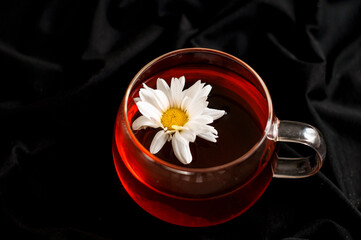 black tea in a transparent Cup with chamomile on a dark background