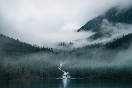 Highland creek flows through forest and flows into mountain lake. Ghostly foggy landscape with alpine lake and dark forest among low clouds. Atmospheric scenery with coniferous trees in dense fog.