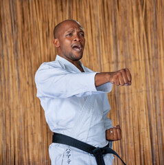 karate kick © poco_bw