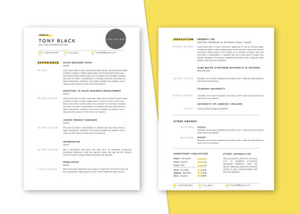 CV,  vector resume template, job 