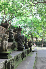 UBUD, BALI, INDONESIA - January 25, 2020 - at sacred monkey forest Ubud Bali Indonesia
