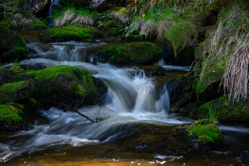 Fototapeta na wymiar Cascades on Filipohutsky stream - Czechia