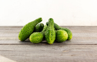 Crooked cucumbers. Cucumber grown with incomplete watering. Diseases of vegetables