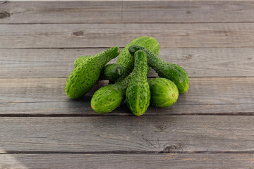 Crooked cucumbers. Cucumber grown with incomplete watering. Diseases of vegetables
