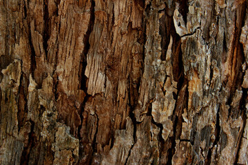 Blurred Brown Nature Background. Beautiful Wooden Texture.Tree  Bark Texture. Wooden Pattern Background.
