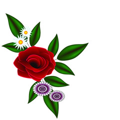 Red rose with leaves and daisies on a white background.