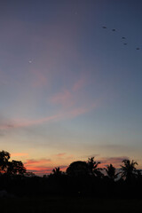 Sunset at Campuhan Ridge Walk
, Ubud, Bali, Indonesia