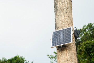 Solar cell install on the tree.