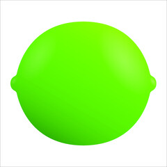 Vector illustration of a lime