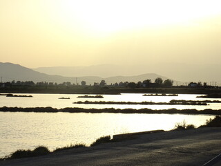 paisajes del delta del ebro