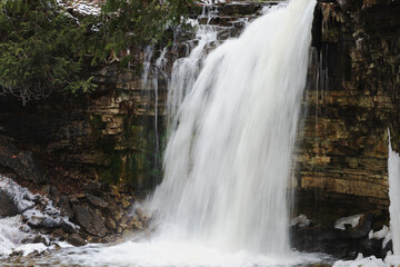 waterfall in the forest