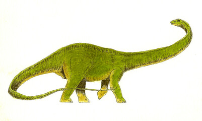 Diplodocus