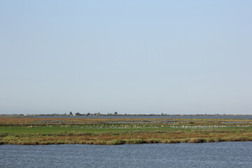 paisajes del delta del ebro