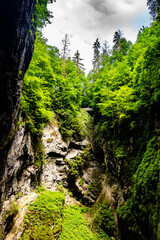 Obraz premium Macocha Abyss - large limestone gorge in Moravian Karst, Czech: Moravsky Kras, Czech Republic. View from bottom.