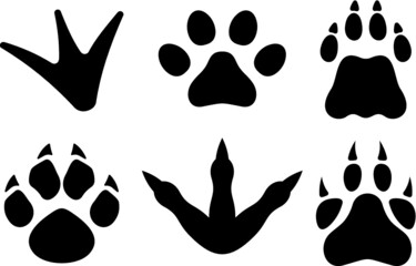 Vector illustration of the animal footprints