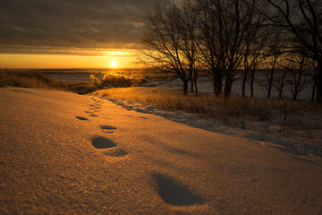 Fototapeta premium footprints in the snow