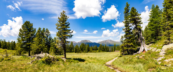 Hochmoor am drei-Seen-Wanderweg. Nähe Turracher Höhe und den Nockbergen, Panorama.