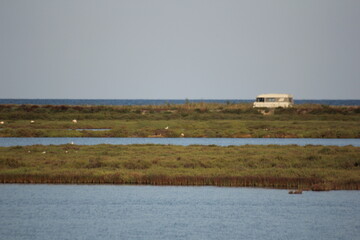 furgoneta y autocaravanas en el horizonte