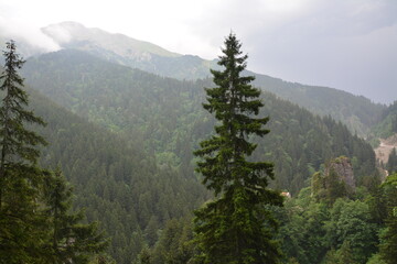 mountain landscape with fog