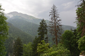 mountain landscape with fog