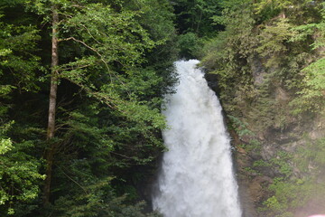 Waterfall in forest.