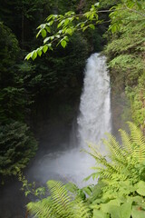 Waterfall in forest.