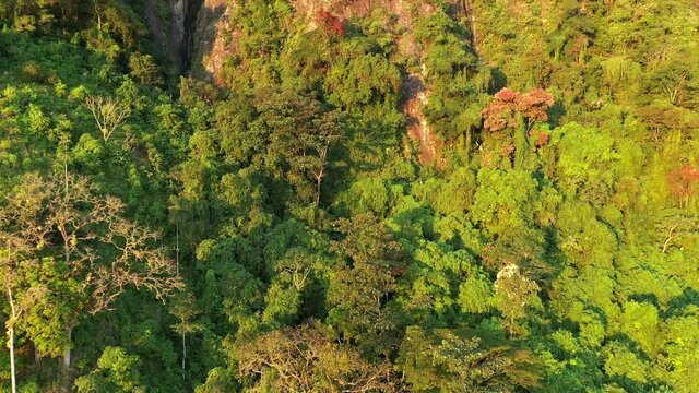 Forward Flying Aerial Shot of Jungle Mountain During Golden Hour Sunrise In Jerico Colombia