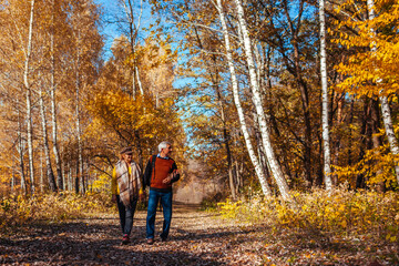 Fototapeta premium Autumn walk. Senior couple walking in fall park. Happy man and woman talking and relaxing outdoors