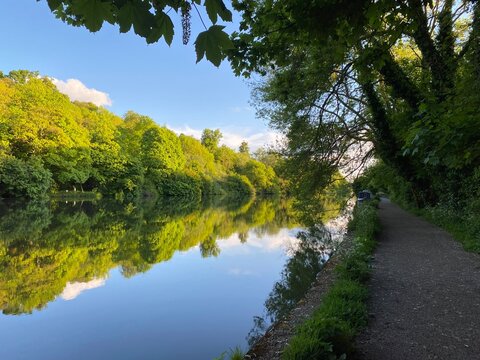 Thames River seen from Maidenhead Riverside in summer.